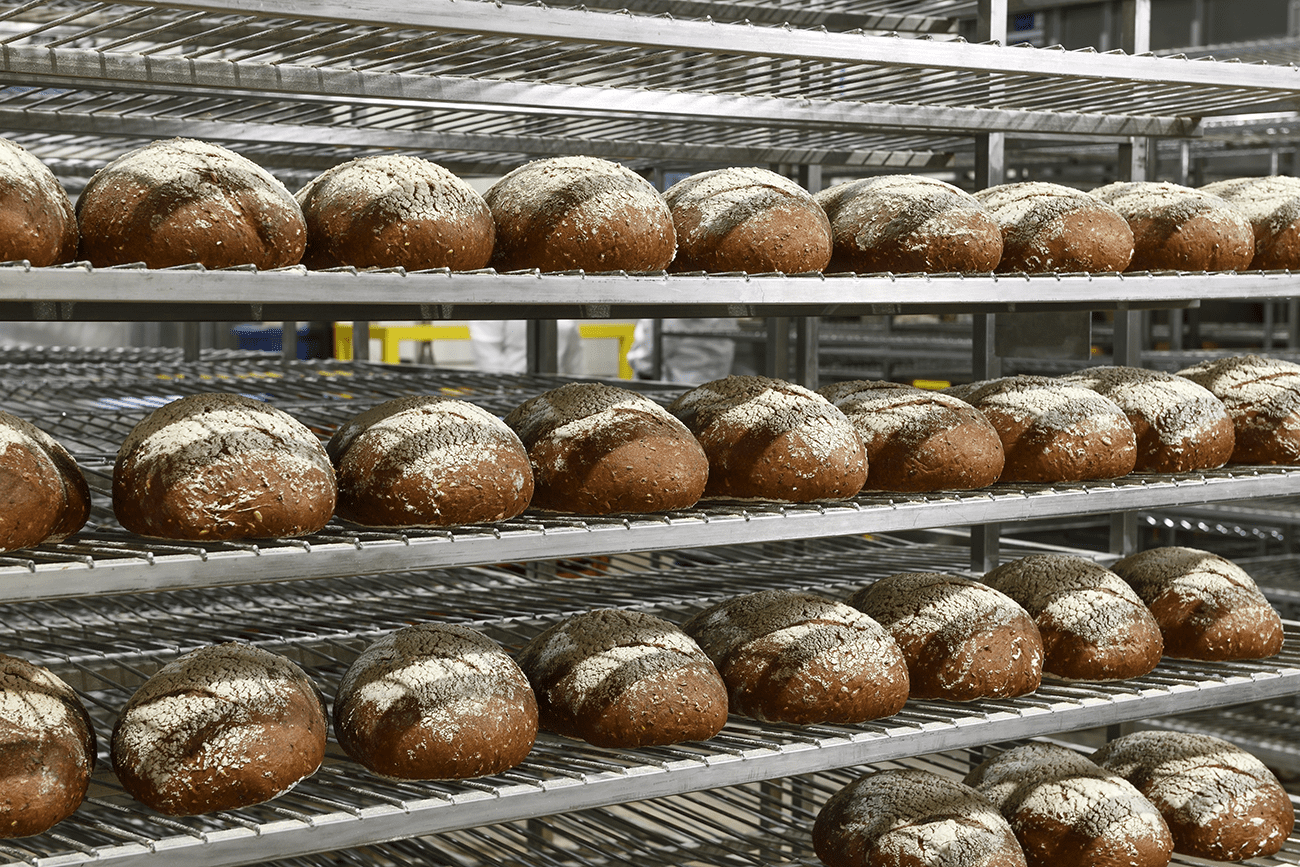 HOW DO YOU MAKE LOW-CARB SOURDOUGH? - Robert Andrew Low-carb Sourdough